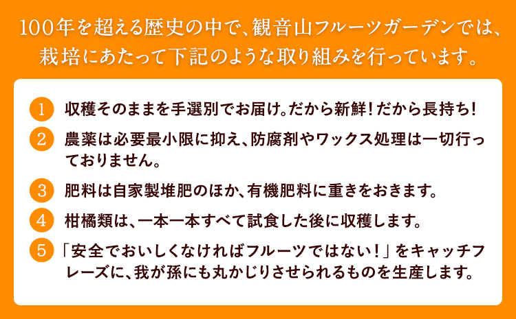 観音山みかんジュース「とろコク搾り」180ml×各5本とみかん農園サイダーのセット200ml×各5本 (計10本入) 有限会社柑香園 和歌山県 紀の川市 フルーツ 果物 柑橘 添加物不使用 みかんジュース 炭酸 サイダー《30日以内に出荷予定(土日祝除く)》