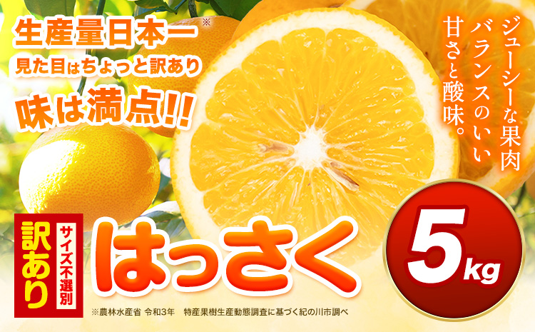 見た目は訳あり中身は変わらぬ美味しさ ご家庭用 はっさく 約5kg (サイズ不選別) 早生･晩生指定不可《2027年2月上旬-3月中旬に出荷予定(土日祝除く)》紀の川市 八朔 柑橘 果物 フルーツ ご家庭用 ビタミンC 柑橘 訳あり 規格外 訳あり 傷