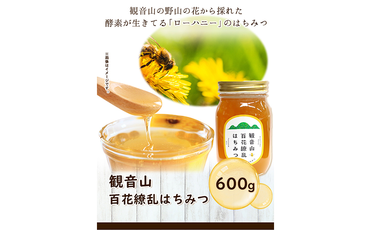 観音山百花繚乱はちみつ600g 有限会社柑香園 《30日以内に出荷予定(土日祝除く)》和歌山県 紀の川市 蜂蜜 ハチミツ ローハニー