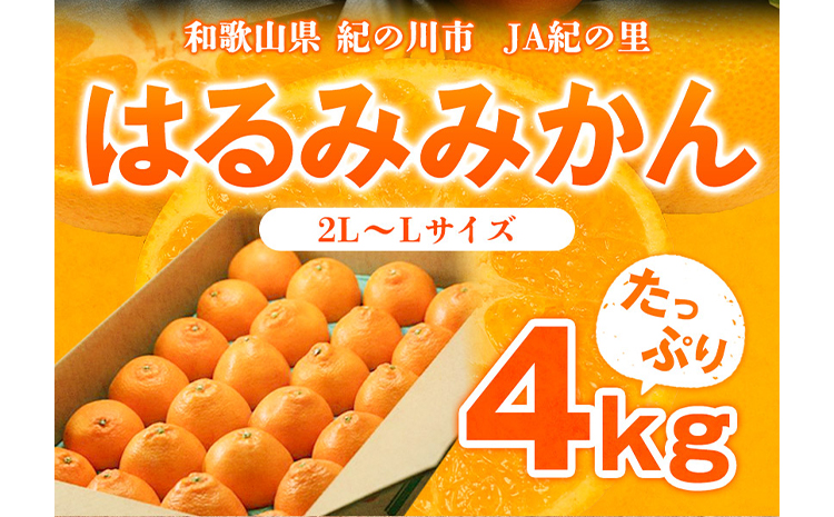 安心と信頼 はるみ約4kg 2l L Ja紀の里農業協同組合 2月中旬 3月上旬頃より順次出荷 和歌山県 紀の川市 果物 フルーツ 柑橘 みかん Fucoa Cl