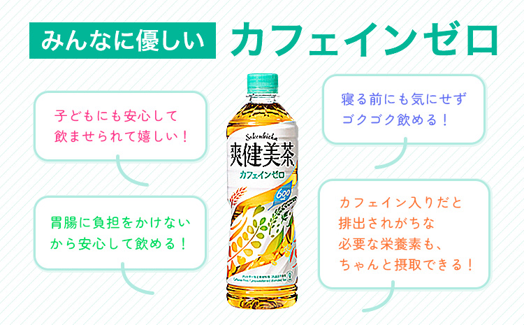 ★3ヶ月定期便★ 爽健美茶 600ml×24本 コカ・コーラボトラーズジャパン（株）《お申込み月翌月から出荷開始》和歌山県 紀の川市 お茶 茶 ハトムギ 玄米 月見草