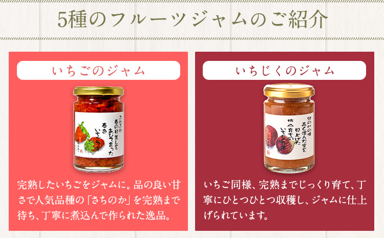 ãã«ãŒããžã£ã 3åãšã»ããã©ã€ãã«ãŒã3åã®ã»ãã äžžé§èŸ²åããã ã90æ¥ä»¥å
ã«åºè·äºå®(忥ç¥é€ã)ãåæå±±ç çŽã®å·åž