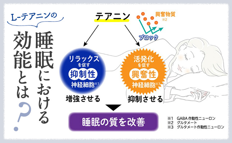 森永乳業 睡眠サポートドリンク 睡眠改善 ライチ味 125ml×24本 株式会社紀和 《90日以内に出荷予定(土日祝除く)》 和歌山県 紀の川市 睡眠 改善 機能性表示食品 飲料 送料無料