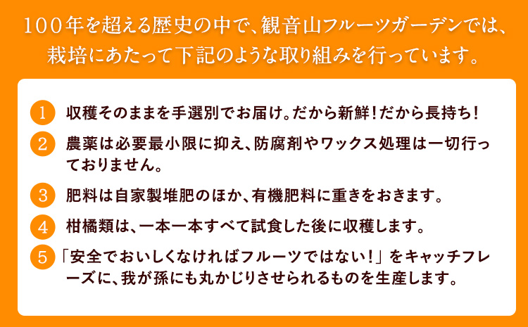 観音山ドライフルーツ（イチジク）30g 1個 有限会社柑香園 《30日以内に出荷予定(土日祝除く)》 和歌山県 紀の川市 フルーツ 果物 いちじく ドライフルーツ 送料無料