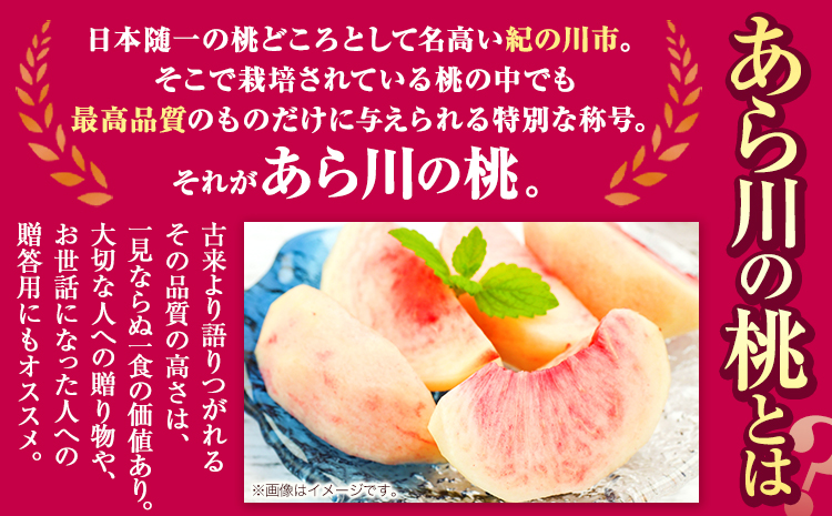 桃 もも あら川の桃 和歌山県産 紀州 の名産 旬の桃厳選 約4kg 12-15玉入り 《2024年6月中旬-8月中旬頃出荷》 果物 フルーツ お取り寄せ 和歌山 予約 あかつき 紀の川 あらかわ 白鳳 日川白鳳 八旗白鳳 清水白桃 川中島白桃 つきあかり