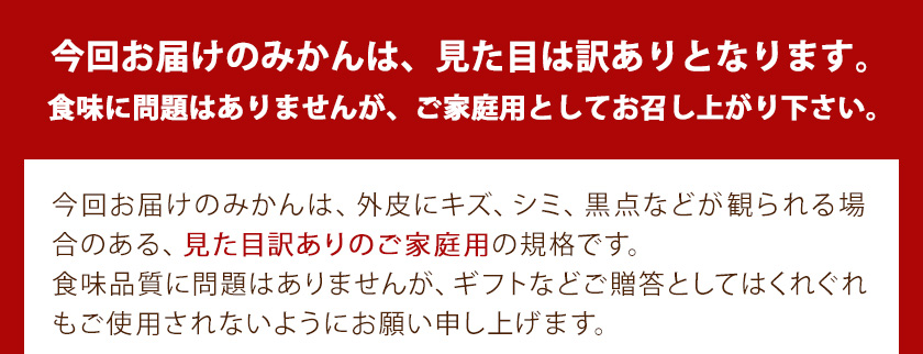 【訳あり/ご家庭用】和歌山県産小玉みかん 約3kg【3S-2Sサイズ】 サンファーム《10月上旬-1月下旬頃出荷》和歌山県 紀の川市