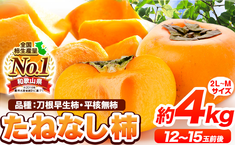 たねなし柿（刀根早生柿・平核無柿）約4kg（12〜15玉前後） 《9月下旬-10月下旬頃出荷》 和歌山県 紀の川市 種なし柿 産地直送 柿 果物 フルーツ 2L〜Mサイズ カキ