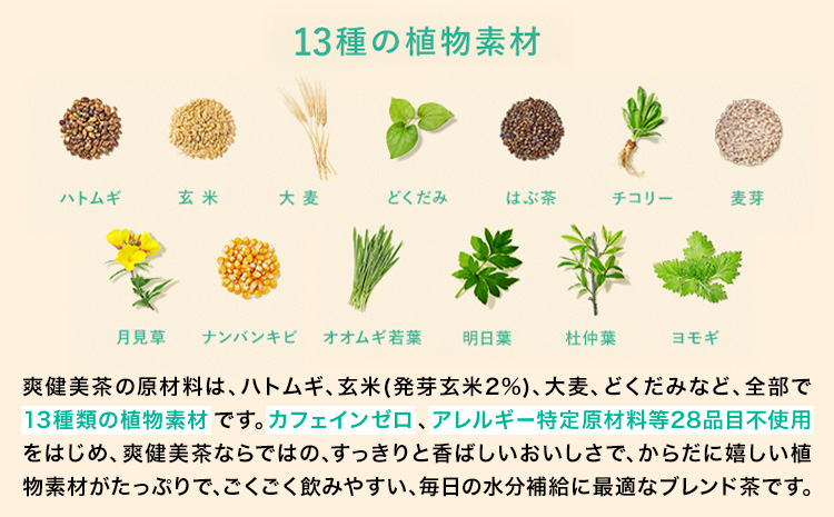 ★3ヶ月定期便★ 爽健美茶 600ml×24本 コカ・コーラボトラーズジャパン（株）《お申込み月翌月から出荷開始》和歌山県 紀の川市 お茶 茶 ハトムギ 玄米 月見草