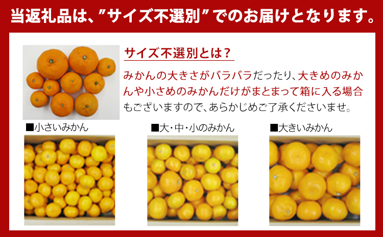  【訳あり/ご家庭用】 先行予約 和歌山県産みかん 約5kg【サイズ混合】 サンファーム《10月上旬-1月下旬頃出荷》和歌山県 紀の川市