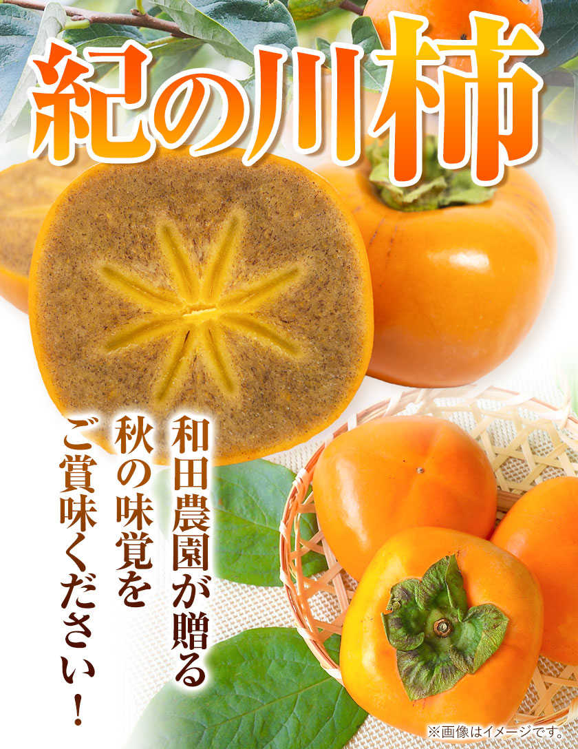 濃厚 紀の川柿 約4kg （12～15玉）和田農園 《10月中旬-11月中旬頃より順次出荷》 先行予約 和歌山県 紀の川市 柿 カキ かき ジューシー  フルーツ 平核無柿|JALふるさと納税|JALのマイルがたまるふるさと納税サイト