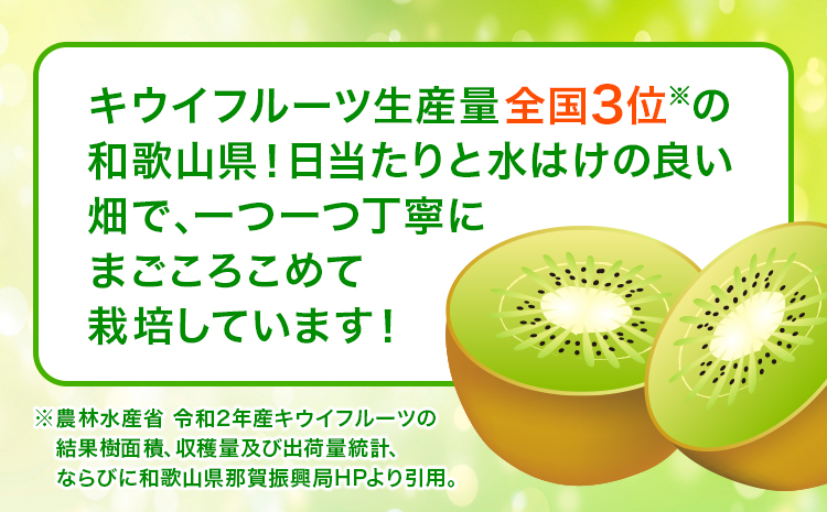 【先行予約】和歌山県紀の川市産 キウイ約2kg(12〜17玉) ときわオンライン《12月下旬-2027年5月中旬頃出荷》 和歌山県 紀の川市 キウイ キウイフルーツ 果物 フルーツ 送料無料