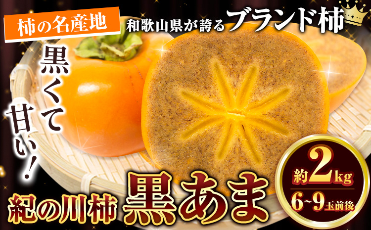 紀の川市産 黒あま 種なし 約2kg（6〜9玉前後）4L〜2Lサイズ《2024年10月上旬-11月上旬頃出荷》和歌山県 紀の川市 たねなし柿 くろあま 高級 産地直送 かき 柿 カキ 果物 フルーツ