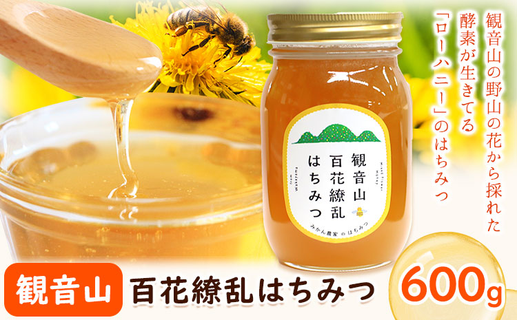 観音山百花繚乱はちみつ600g 有限会社柑香園 《30日以内に出荷予定(土日祝除く)》和歌山県 紀の川市 蜂蜜 ハチミツ ローハニー