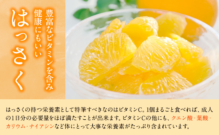 手剥き八朔缶詰(ミックス) 450g×8本入 JAわかやま 紀の里地域本部 《90日以内に出荷予定(土日祝除く)》 和歌山県 紀の川市