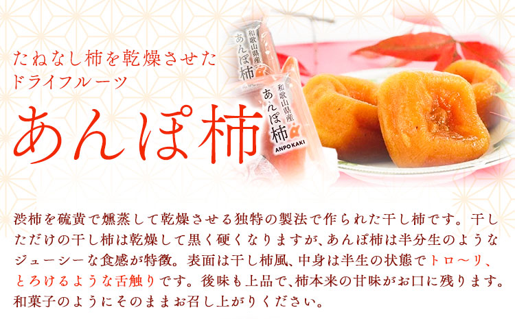 和歌山県産 あんぽ柿（大10個セット） JAわかやま 紀の里地域本部 《90日以内に出荷予定(土日祝除く)》 和歌山県 紀の川市st-p