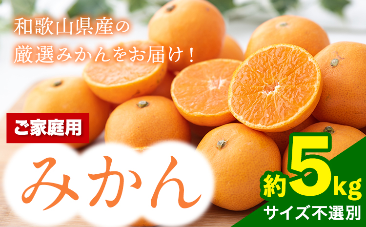  【訳あり/ご家庭用】 先行予約 和歌山県産みかん 約5kg【サイズ混合】 サンファーム《10月上旬-1月下旬頃出荷》和歌山県 紀の川市