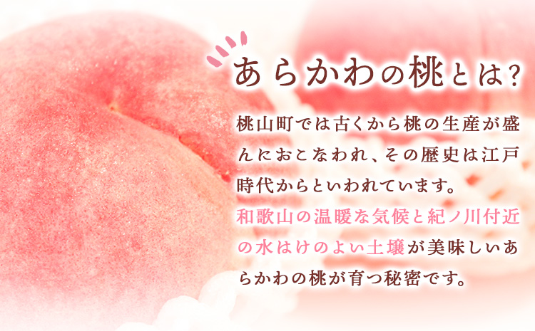 あら川の桃ジャム3本セット（145g×3本） 藤桃庵 《90日以内に出荷予定(土日祝除く)》 和歌山県 紀の川市　桃　モモ