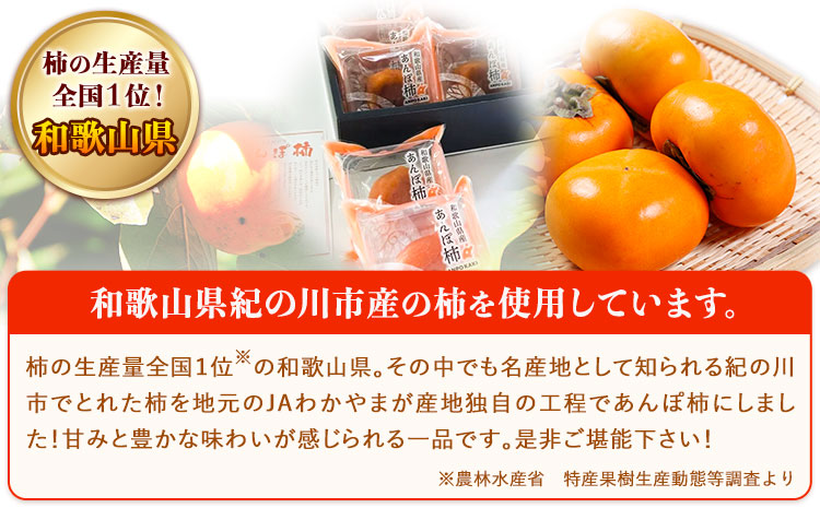 和歌山県産 あんぽ柿（大10個セット） JAわかやま 紀の里地域本部 《90日以内に出荷予定(土日祝除く)》 和歌山県 紀の川市st-p
