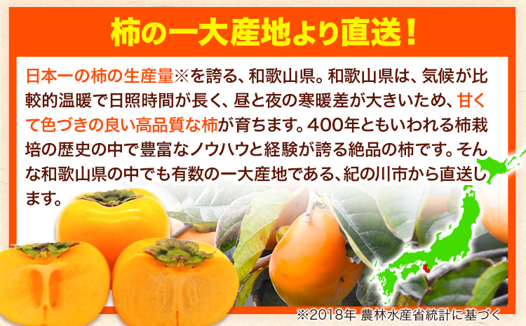 【先行予約】たねなし柿（刀根早生柿・平核無柿）約7.5kg（28〜36玉前後） 《9月中旬-11月上旬頃出荷》 和歌山県 紀の川市 種なし柿 産地直送 柿 果物 フルーツ 2L〜Mサイズ カキ