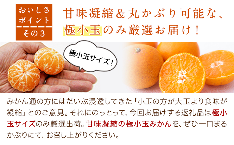 【訳あり/ご家庭用】和歌山県産小玉みかん 約3kg【3S-2Sサイズ】 サンファーム《10月上旬-1月下旬頃出荷》和歌山県 紀の川市