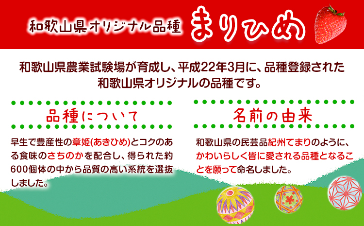 いちご まりひめ 約500g (250g×2パック) お試し パック 苺 イチゴ JAわかやま 紀の里地域本部《2027年2月中旬-3月末頃出荷》 和歌山県 紀の川市 青果物 果物 くだもの フルーツ スイーツ