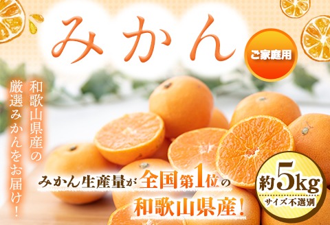  【訳あり/ご家庭用】 先行予約 和歌山県産みかん 約5kg【サイズ混合】 サンファーム《10月上旬-1月下旬頃出荷》和歌山県 紀の川市