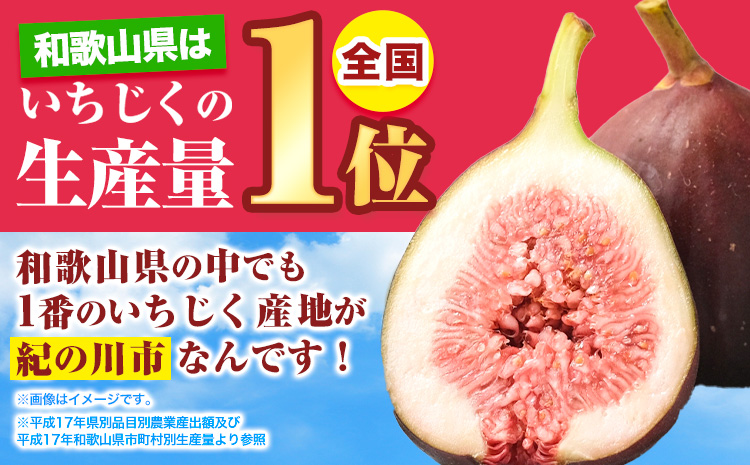 ãã¡ãã å®çãã¡ãã çŽ600g (300gÃ2ããã¯) ã詊ã ãã㯠ãã¡ãã ã€ããžã¯ ç¡è±æ çŽã®é蟲æ¥ååçµåã2026幎9æäžæ¬-11æäžæ¬é åºè·ã åæå±±ç çŽã®å·åž éæç© æç© ãã ãã® ãã«ãŒã ã¹ã€ãŒãst-p