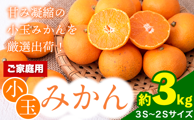 【訳あり/ご家庭用】和歌山県産小玉みかん 約3kg【3S-2Sサイズ】 サンファーム《10月上旬-1月下旬頃出荷》和歌山県 紀の川市