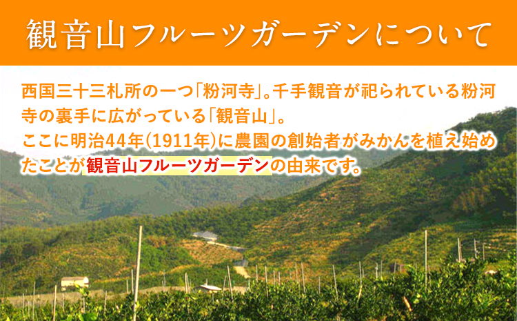 観音山みかんジュース「とろコク搾り」180ml×各5本とみかん農園サイダーのセット200ml×各5本 (計10本入) 有限会社柑香園 和歌山県 紀の川市 フルーツ 果物 柑橘 添加物不使用 みかんジュース 炭酸 サイダー《30日以内に出荷予定(土日祝除く)》