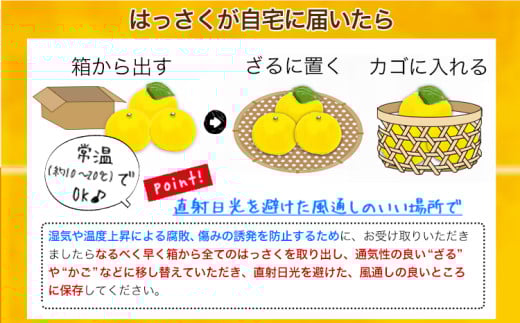 【訳あり/ご家庭用】はっさく 約4kg (4L~Sサイズ サイズ不選別) 早生･晩生指定不可《2月上旬-4月中旬に出荷予定(土日祝除く)》和歌山県 岩出市 産地直送 みかん 八朔 柑橘 果物 フルーツ ご家庭用 ビタミンC たっぷり 