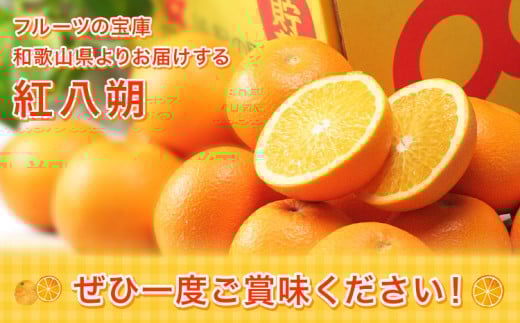 紅八朔（ポッポ） 5kg（3L〜L）JAわかやま 紀の里地域本部《3月中旬-4月中旬に出荷予定(土日祝除く)》和歌山県 岩出市 産地直送 みかん 八朔 柑橘 果物 フルーツ ビタミンC たっぷり