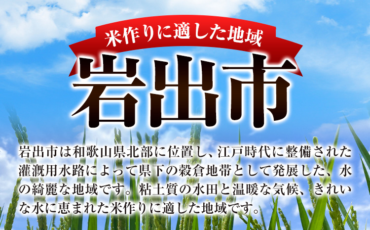 米 こめ 岩出市応援米 約10kg 《30日以内に出荷予定(土日祝除く)》 和歌山県 岩出市 お米 コメ ご飯 ごはん 米10kg