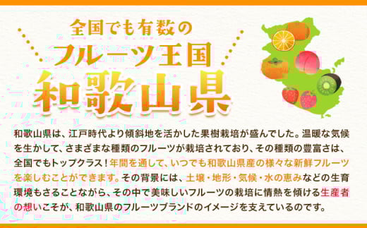 たねなし柿（刀根早生柿・平核無柿）約7.5kg《2025年9月中旬-11月上旬頃出荷(土日祝除く)》 和歌山県 岩出市 種なし柿 柿 果物 フルーツ 2L〜Mサイズ カキ 