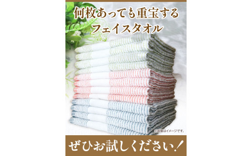 フェイスタオル　『泉州タオル』ロイヤルボーダータオル （抗ウイルス加工) 12枚セット 株式会社フタバ《90日以内に出荷予定(土日祝除く)》和歌山県 岩出市 タオル 国産 12枚 送料無料