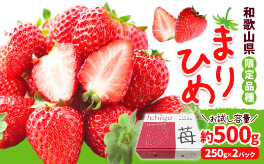 いちご まりひめ 約500g (250g×2パック) JAわかやま 紀の里地域本部《2月中旬-4月中旬頃出荷》和歌山県 岩出市 イチゴ 苺 いちご まりひめ 果物 くだもの フルーツ お試し パック