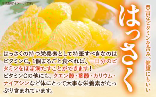 【訳あり/ご家庭用】はっさく 約9kg (4L~Sサイズ サイズ不選別) 早生･晩生指定不可《2月上旬-4月中旬に出荷予定(土日祝除く)》和歌山県 岩出市 産地直送 みかん 八朔 柑橘 果物 フルーツ ご家庭用 ビタミンC たっぷり