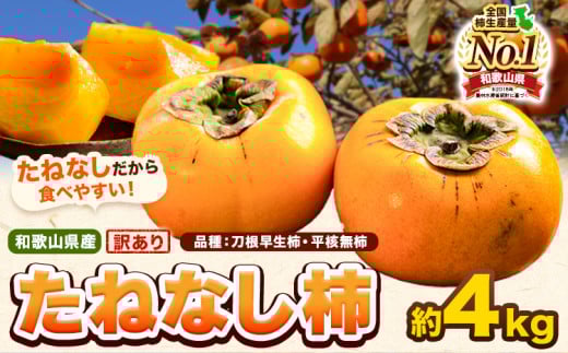 和歌山県産 訳あり たねなし柿（刀根早生柿・平核無柿）約4kg 《2026年9月中旬-11月上旬頃出荷(土日祝除く)》 和歌山県 岩出市 訳あり ご家庭用 種なし柿 柿 果物 フルーツ カキ