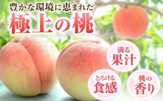 æ¡ åæå±±çç£ çŽã®éã®æ¡ çŽ1kg (3-5ç)ã2026幎6æäžæ¬-8æäžæ¬é åºè·ã 2026幎 çŽã®éã®æ¡ çœé³³ æ¥å·çœé³³ ãªã€ã£ã æž
æ°Žçœæ¡ å·äžå³¶çœæ¡ å
«æçœæ¡ åæå±± ãã äžäžåä»¥äž 10000å以äž(F)