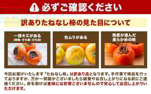 和歌山県産 訳あり たねなし柿（刀根早生柿・平核無柿）約7.5kg 《2026年9月中旬-11月上旬頃出荷(土日祝除く)》 和歌山県 岩出市 訳あり ご家庭用 種なし柿 柿 果物 フルーツ カキ 