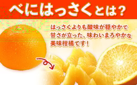 çŽ
å
«æïŒãããïŒ10kgïŒ3LãLïŒJAããã㟠çŽã®éå°åæ¬éšã3æäžæ¬-4æäžæ¬ã«åºè·äºå®(忥ç¥é€ã)ãåæå±±ç 岩åºåž ç£å°çŽé ã¿ãã å
«æ ææ© æç© ãã«ãŒã ãã¿ãã³C ãã£ã·ã