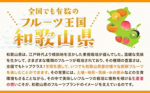 çŽ
å
«æïŒãããïŒ10kgïŒ3LãLïŒJAããã㟠çŽã®éå°åæ¬éšã3æäžæ¬-4æäžæ¬ã«åºè·äºå®(忥ç¥é€ã)ãåæå±±ç 岩åºåž ç£å°çŽé ã¿ãã å
«æ ææ© æç© ãã«ãŒã ãã¿ãã³C ãã£ã·ã