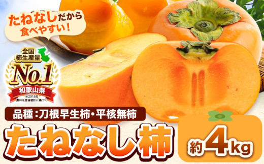 たねなし柿（刀根早生柿・平核無柿）約4kg《2025年9月中旬-11月上旬頃出荷(土日祝除く)》 和歌山県 岩出市 種なし柿 柿 果物 フルーツ 2L〜Mサイズ カキ