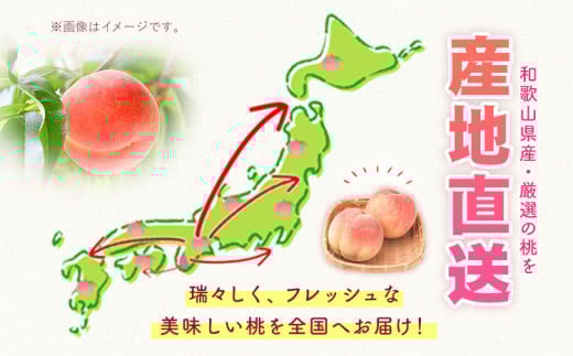 【2026年出荷分先行予約】あふれる果汁で口いっぱい！甘くてジューシーな桃 和歌山県産 紀の里の桃 約2kg (6〜8玉) 《2026年6月中旬-8月中旬頃出荷》 紀の里の桃 送料無料 6〜8玉入り 旬の桃を厳選 モモ 果物 フルーツ お取り寄せ 和歌山 2025年先行予約 送料無料 白鳳 日川白鳳 なつっこ 清水白桃 川中島白桃 八旗白桃 ギフト 果物 くだもの フルーツ お取り寄せ 