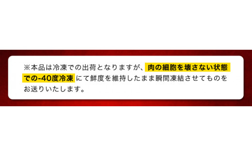 「熊野牛」 特選ヘレ 4等級以上 一本(二分割)  株式会社松源《30日以内に出荷予定(土日祝除く)》和歌山県 岩出市