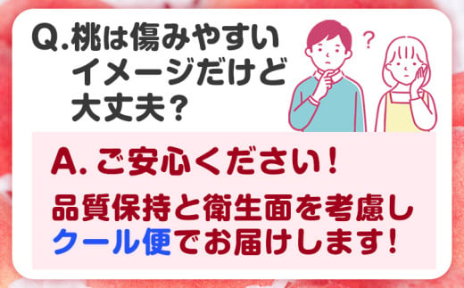 桃 和歌山県産 紀の里の桃【2回定期便】約2kg×2回 定期《2026年6月中旬-8月中旬頃出荷》 2025年 先行予約 紀の里の桃 白鳳 日川白鳳 なつっこ 清水白桃 川中島白桃 八旗白桃 和歌山 もも
