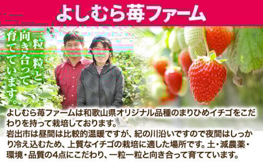 ãã¡ã å®çãã¡ã倧ç²ãŸãã²ã350g(1ããã¯) 9ç² 12ç² 15ç² ãããã1ãã㯠ããããèºãã¡ãŒã ã1æäžæ¬-4æäžæ¬é åºè·ã åæå±±ç 岩åºåž ãã¡ã èº ã€ã㎠ãŸãã²ã å®ç 倧ç²