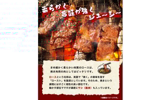 「熊野牛」特選ロース焼肉800g 4等級以上 株式会社松源《30日以内に出荷予定(土日祝除く)》和歌山県 岩出市