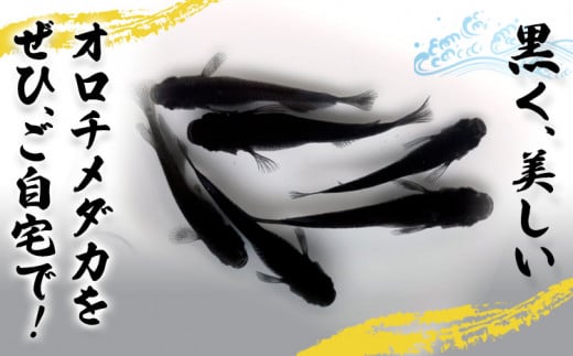 ãªããã¡ãã« 5å¹ æ ¹æ¥ãã ãã90æ¥ä»¥å
ã«åºè·äºå®(忥ç¥é€ã)ãåæå±±ç 岩åºåž ãã ã ãªãã ã¡ãã« é»è² 芳è³çš éæç¡æ