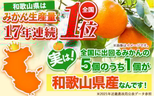 【先行予約】【訳あり/サイズ不選別】 和歌山みかん 約5kg 和歌山県産 《2025年11月中旬-1月中旬頃出荷》たっぷり ご家庭用 2L〜2S 産地直送 みかん 旬 蜜柑 ミカン 柑橘 果物 フルーツ 和歌山県 岩出市