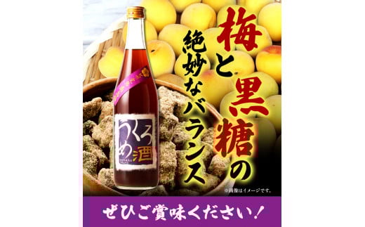 梅酒 くろうめ酒 720ml 酒のねごろっく 《90日以内に出荷予定(土日祝除く)》和歌山県 岩出市 酒 梅酒 梅黒糖 くろうめ酒 くろうめ　ウメ　ねごろっく　うめしゅ　黒糖　ウメシュ　にほん酒　日本酒　アルコール　くろうめ　贅沢ウメシュ　贅沢梅酒　紀州　紀州南高梅　南高梅　おつまみ　晩酌　乾杯　たくのみ　宅のみ　酸っぱい　うめ酒　くろうめ　醸造アルコール　黒蜜　ウメシュ　完熟ウメ　完熟梅